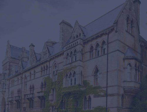 What do successful grads think you should study?